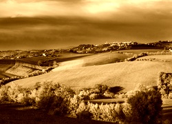 Sepia