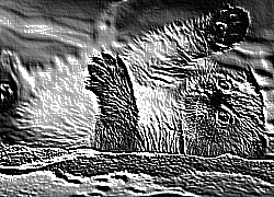 Skamielina