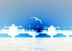 Negatyw