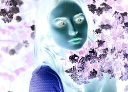 Negatyw