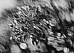 Skamielina