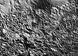 Skamielina