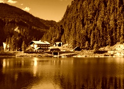 Sepia