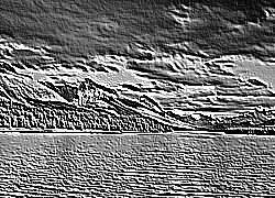 Skamielina