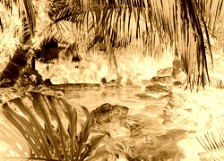 Sepia + Negatyw
