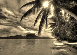 Szary + Sepia