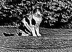 Skamielina