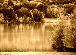 Sepia