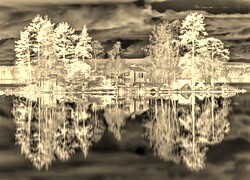 Sepia + Negatyw
