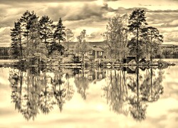 Szary + Sepia