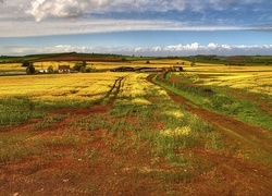 Oryginalny obrazek