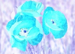 Negatyw