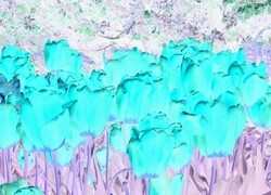 Negatyw