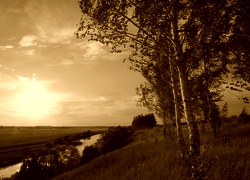 Sepia
