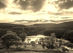 Sepia