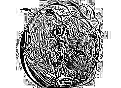 Skamielina