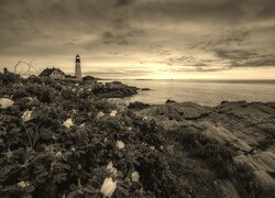 Szary + Sepia