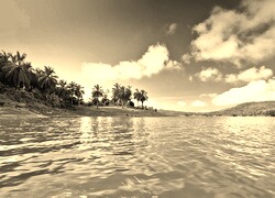 Szary + Sepia