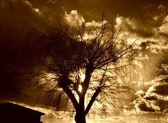 Sepia