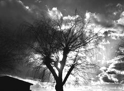 Szary + Sepia