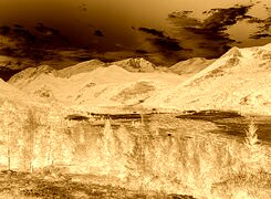 Sepia + Negatyw