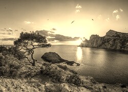 Szary + Sepia