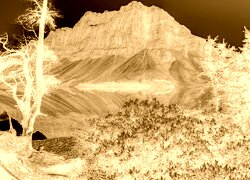 Sepia + Negatyw