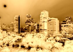 Sepia + Negatyw