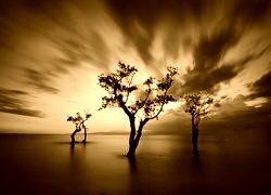Sepia