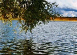 Oryginalny obrazek