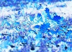 Negatyw