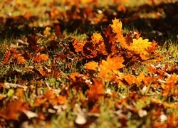 Oryginalny obrazek