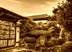Sepia