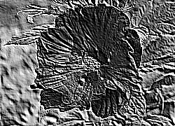 Skamielina
