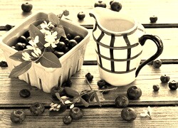Szary + Sepia