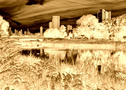 Sepia + Negatyw