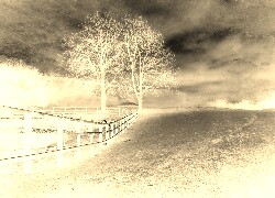 Sepia + Negatyw