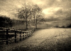 Szary + Sepia