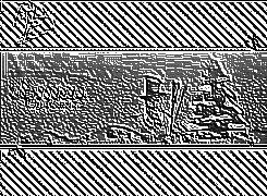 Skamielina