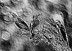 Skamielina