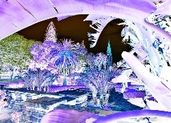 Negatyw
