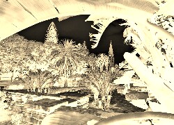 Sepia + Negatyw