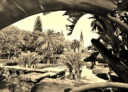 Szary + Sepia