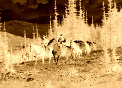 Sepia + Negatyw