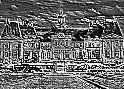 Skamielina