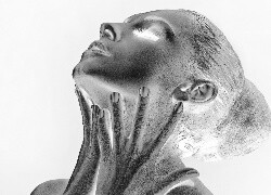 Szary + Negatyw