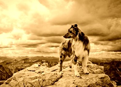 Sepia