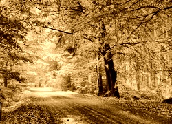 Sepia
