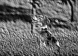 Skamielina