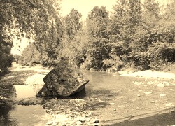 Szary + Sepia